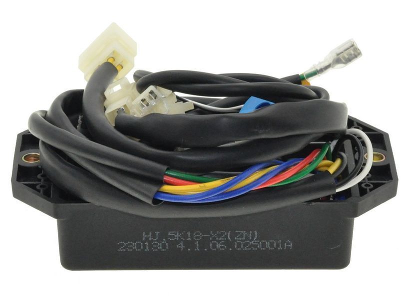 AVR регулятор генератора 5 кВт 220В 1-фаза PRO X2(ZN) 95389-1641 фото