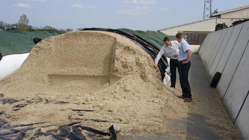 Смугова плівка для садівництва та будівництва 12&times;33 м, чорно-біла, 120 г/м2 1993131519 фото