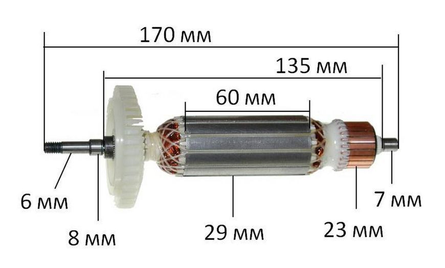 Якорь болгарка Зенит ЗУШ-125/870, Stromo 1100(ИжМаш),Элпром 115/880,Grand125 (170*29 посадка 6мм) 66238-1090 фото