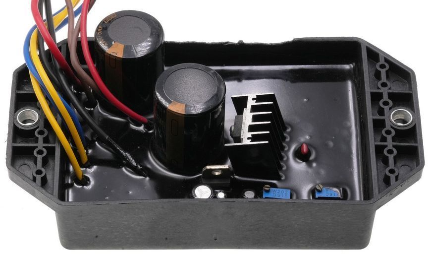 AVR регулятор напруги двигуна (220V) дизельного генератора (10 дротів) 48372-259 фото