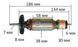 Якір (ротор) болгарки Metabo WE 12-125 оригінал 310010990(38*186/посадка 7мм) 44903-1277 фото 2